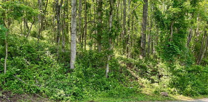 TBD Valley Stran Drive, Boone