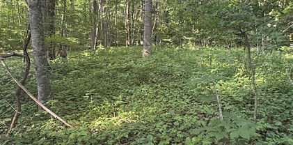 Lot 10 & 11 Billy Bob Lane, Creston