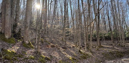 Lot 2 Buckeye Ridge Road, Beech Mountain