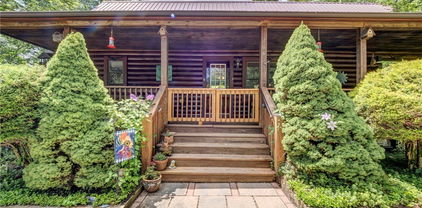 106 Vixen Den Drive, Zionville