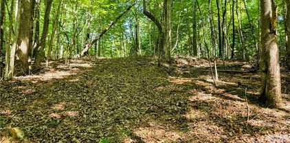 Lot 2B Brightwood Trail, Deep Gap