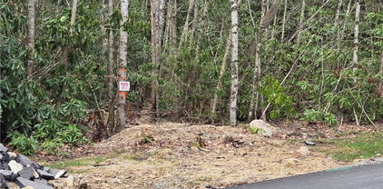 Lot 102 Buckeye Creek Road, Beech Mountain