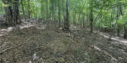 105/107 Aster Trail, Beech Mountain