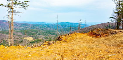 TBD Phillips Gap, Purlear