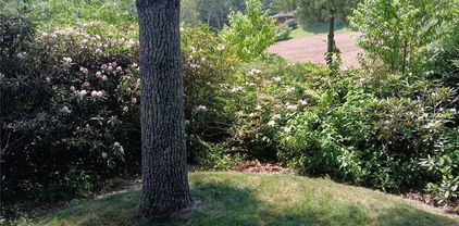 158 Trillium Road, Newland