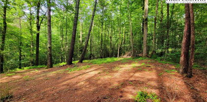 TBD Bewer Mill Road/Lil Sandy Creek Road, Traphill