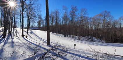 109 Blacksmith Court, Elk Park