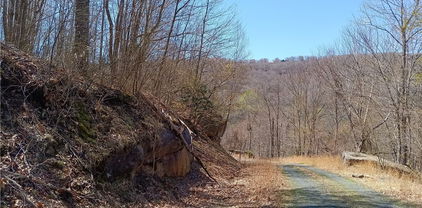 104 Beadwood Lane, Beech Mountain