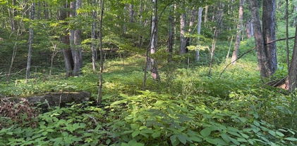 Lot 58 & 59 Beechwood Circle, Creston