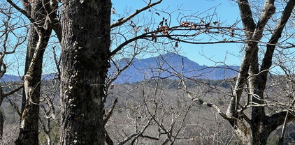 678 Dameron Drive, Blowing Rock