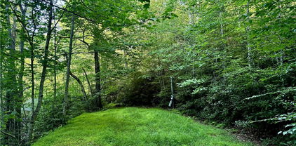 653 Payne Branch Road, Blowing Rock