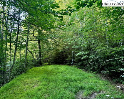 653 Payne Branch Road, Blowing Rock