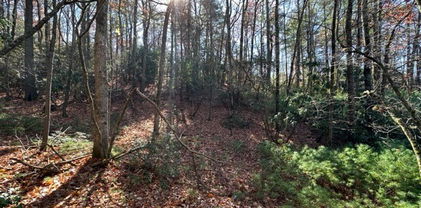 Lot 27 Walden Lane, West Jefferson