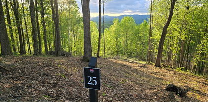 Lot 25 Deer Trail Lane, Elk Park