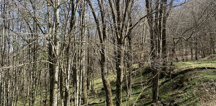 TBD/Lot 1 Trillium Creek Run, Newland