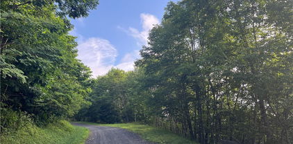 none Stony Fork Road, West Jefferson