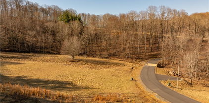 Lot 51 Poplar Forest Drive, Boone