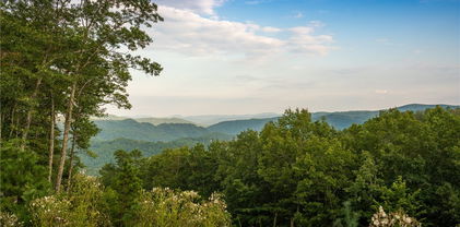 1628 Jumpseed Way, Boone