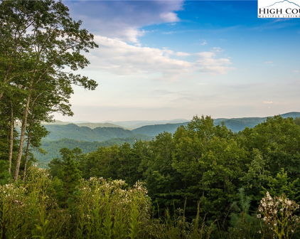 1628 Jumpseed Way, Boone