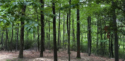 Lot 215 Casey Mountain Road, Purlear