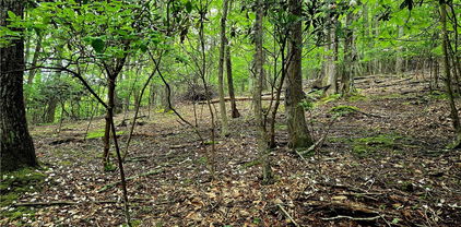 TBD Red Fox Ridge, Boone