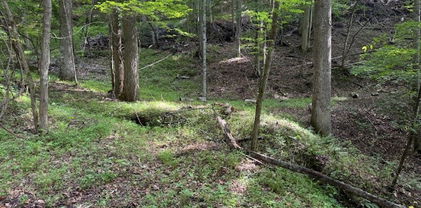 Cane Mountain Lane, Burnsville