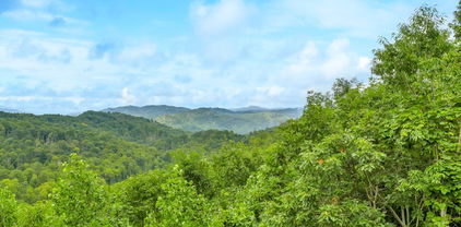 Lot 14 Lake View Drive, Elk Park