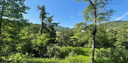 Lot 4 Farm Valley Lane, Boone