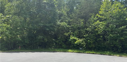 1047 Williamsburg Drive, Lenoir