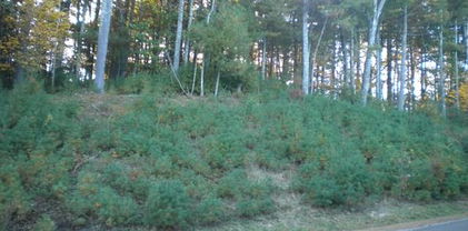 Lot 3 Pine Chase, Glade Valley