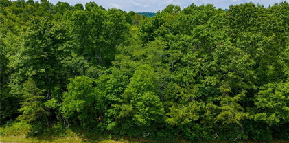 TBD Air Bellows Gap Road Unit 5, Sparta