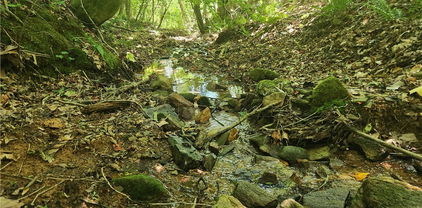 1762 Russell Gap Road, Moravian Falls