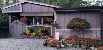 203 Black Pine Road, Linville