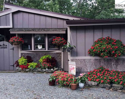 203 Black Pine Road, Linville