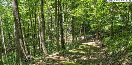 TBD Longhope Road, Todd