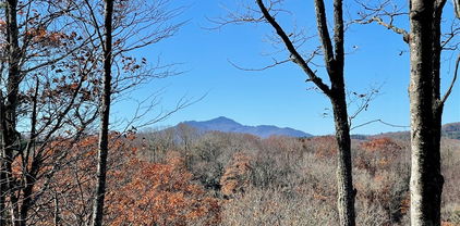 142 Tanglewood Trail, Blowing Rock