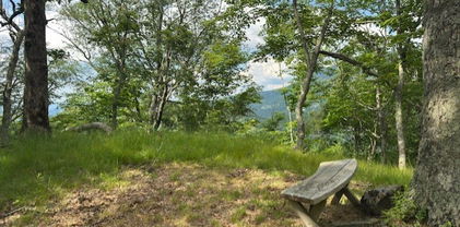 796 Goat Mountain Road, Zionville