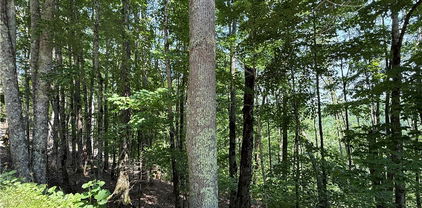 115 Hollow Tree Road, Beech Mountain