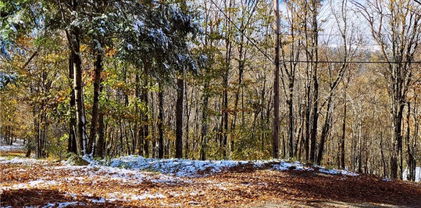 1026 Charter Hills Rd plus Tract 2, Beech Mountain