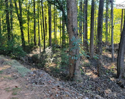 Lot 120 118 Friar Court, North Wilkesboro