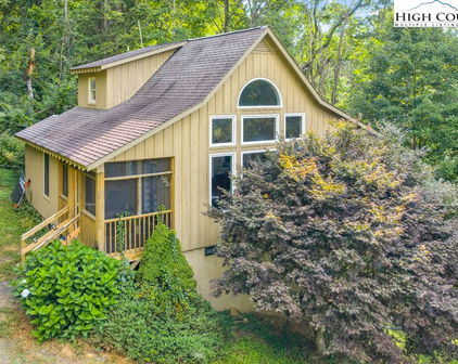 466 Dayspring Drive, Boone