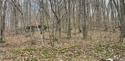 215 Wild Daisy Lane, Beech Mountain