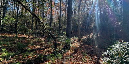 Lot 31 & 32 Thoreau Court, West Jefferson