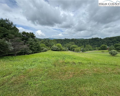 LOT 52 & 55 Rachel Way, Piney Creek