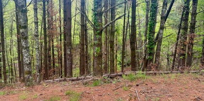 Lot 25 Davis Acres Drive, West Jefferson