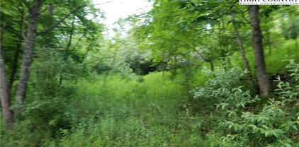 Lot 10 River Country Road, Piney Creek