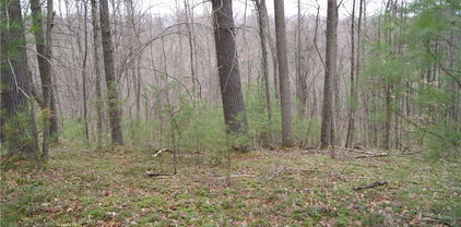 Lot 69 Laurel Mountain Drive, Sparta