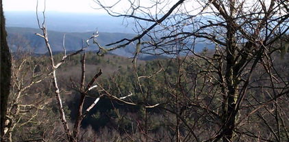 7668 Turtle Rock Road, Newland