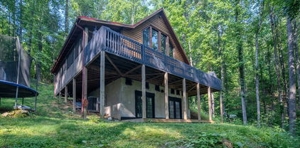 8012 Big Ivy, Purlear