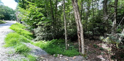 252 Greenbriar Road, Beech Mountain